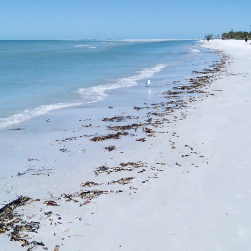 Perth To Broome Road Trip - Eighty Mile Beach