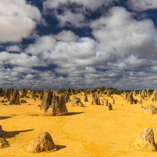 Perth To Broome Road Trip - Pinnacles Desert