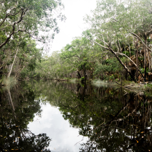 Backpacking Noosa