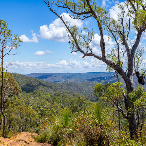 Day Trips From Perth - Kalamunda